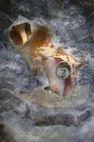 Standing Firm Standing Firm