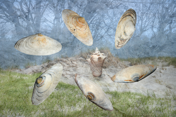 Flight Formation Flight Formation